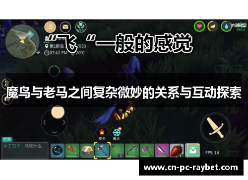 魔鸟与老马之间复杂微妙的关系与互动探索