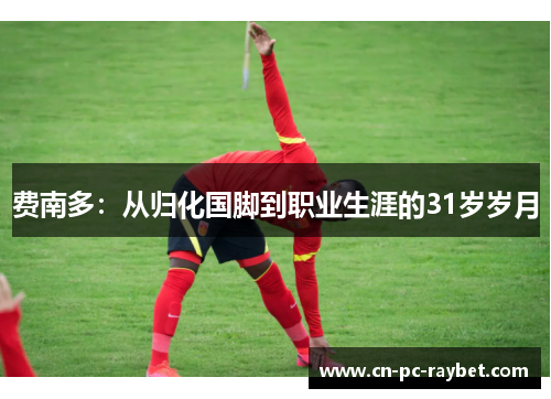 费南多:从归化国脚到职业生涯的31岁岁月 费南多:从归化国脚到职业生涯的31岁岁月