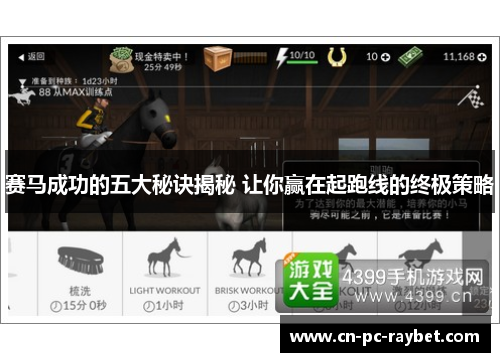 赛马成功的五大秘诀揭秘 让你赢在起跑线的终极策略