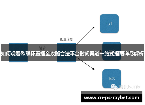 如何观看欧联杯直播全攻略合法平台时间渠道一站式指南详尽解析