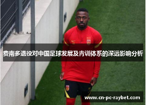 费南多退役对中国足球发展及青训体系的深远影响分析