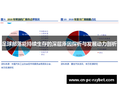 足球部落能持续生存的深层原因探析与发展动力剖析