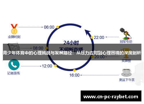 青少年体育中的心理挑战与发展路径：从压力应对到心理困境的深度剖析