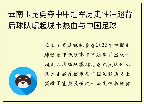 云南玉昆勇夺中甲冠军历史性冲超背后球队崛起城市热血与中国足球